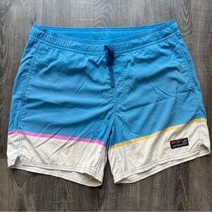 Mens Patagonia Boardshorts